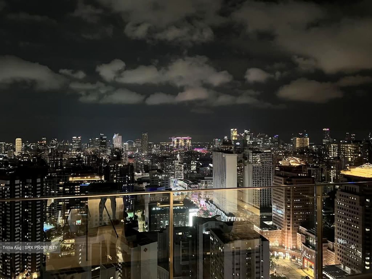 Scotts Square (D9), Apartment #576829131